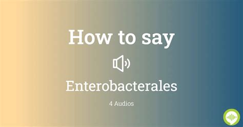 How to pronounce Enterobacterales .